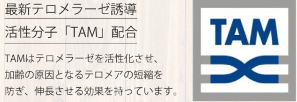    テロメア 伸ばす TAM,テロメラーゼ誘導活性化物質,日々短くなっていく   　テロメラーゼ テロメア 伸ばす TAM 老化防止 グリーンフーズ　     テロメア 伸ばす TAM,テロメラーゼ誘導活性化物質